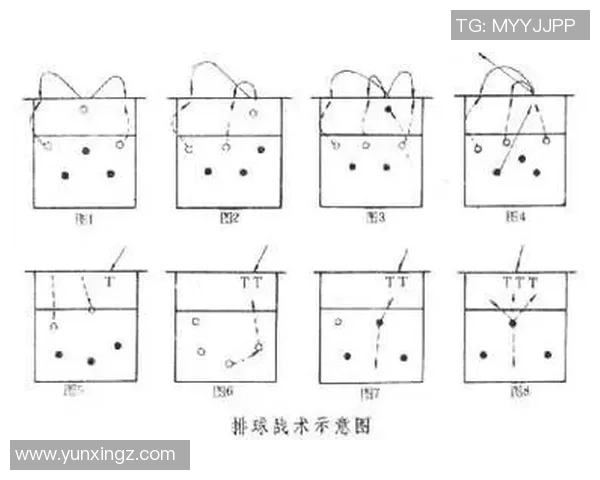 重庆排球队在精英赛中的力量展现与战术分析